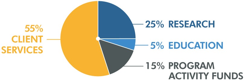 TBI Trust Fund Pie Chart: 55% Client Services, 25% Research, 5% Education, 15% Program Activity Funds